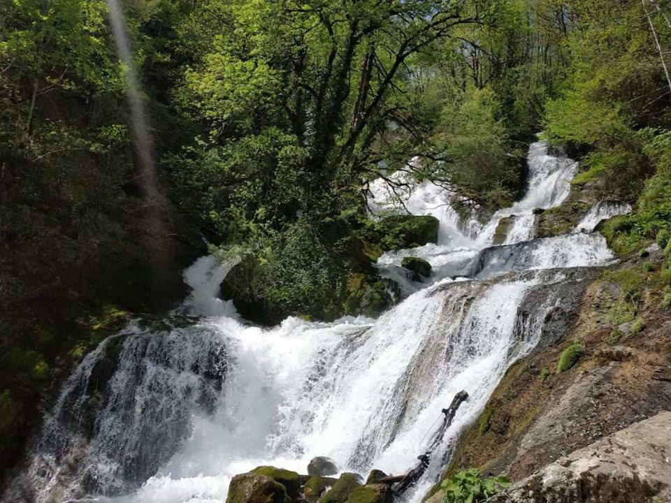 Sibirjak Zqaltubo Exterior foto